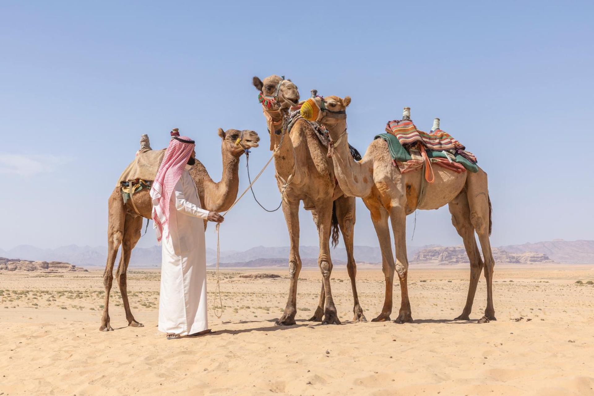 Wadi Rum Camp & Jeep Tour エクステリア 写真