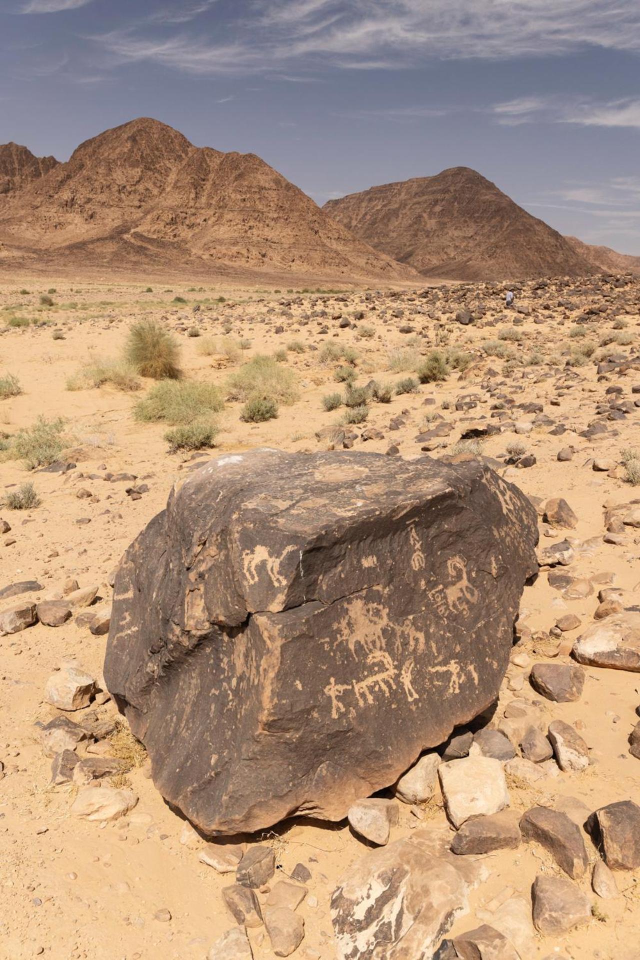 Wadi Rum Camp & Jeep Tour エクステリア 写真